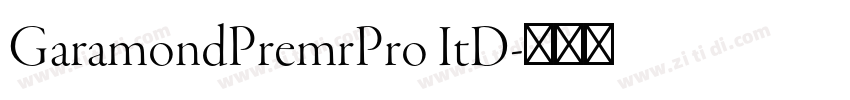 GaramondPremrPro ItD字体转换